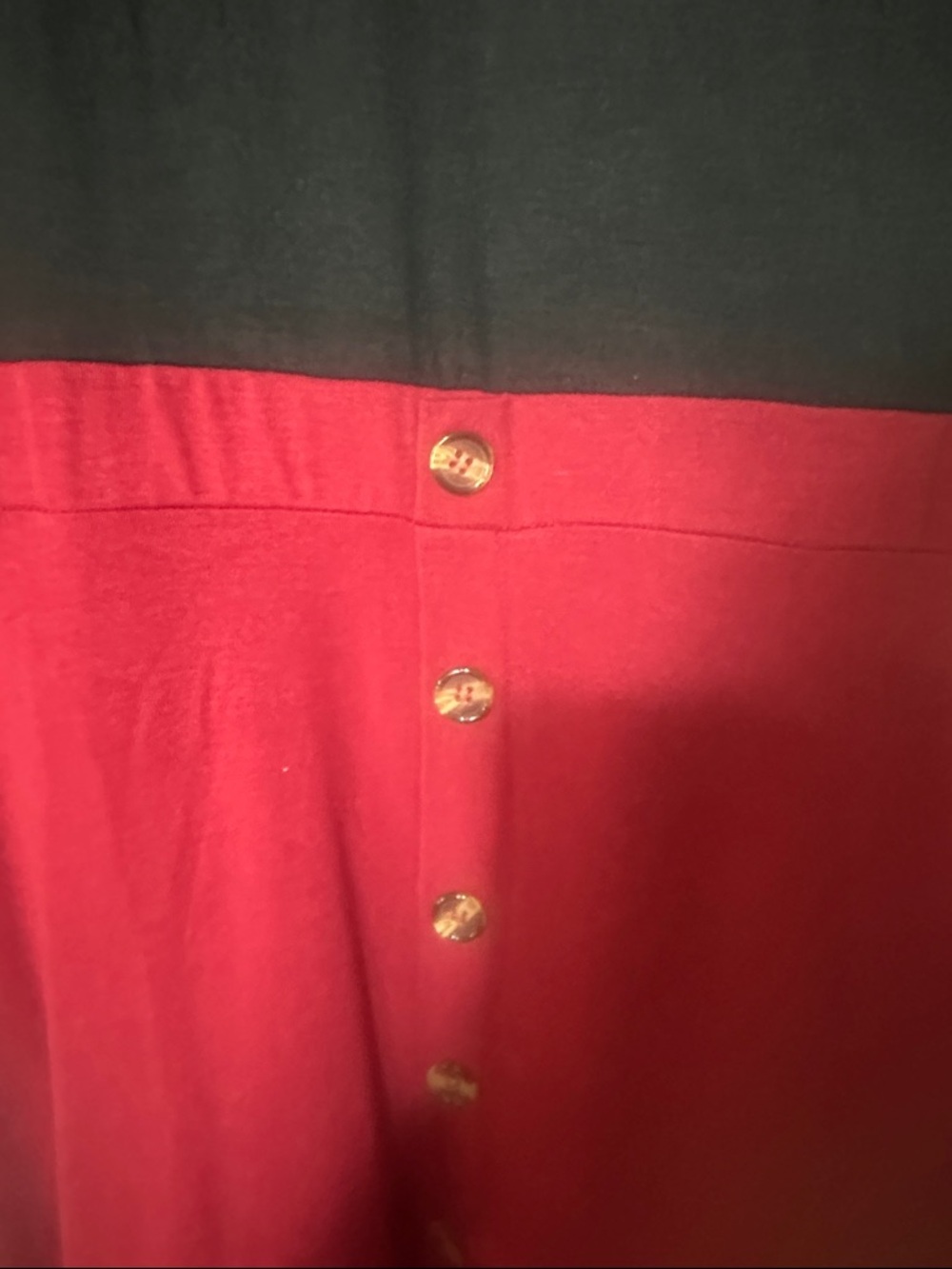 Black & Raspberry Button-Front Fit-and-Flare Dress - Picture 3 of 4